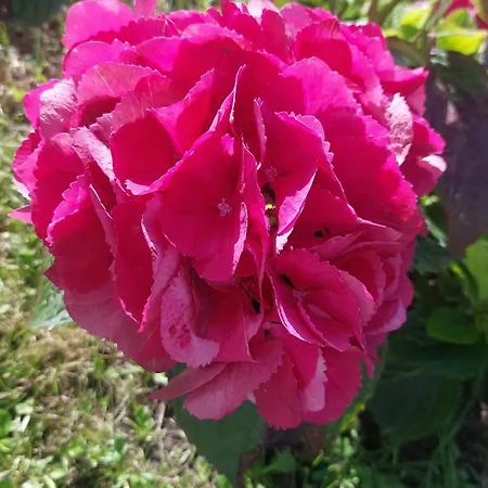 بيت للعطل Newtown *