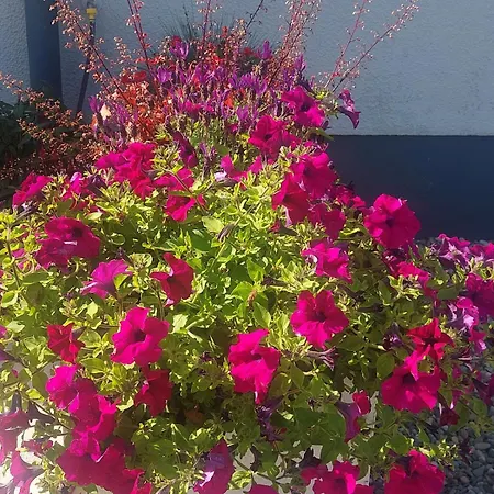 Newtown بيت للعطل