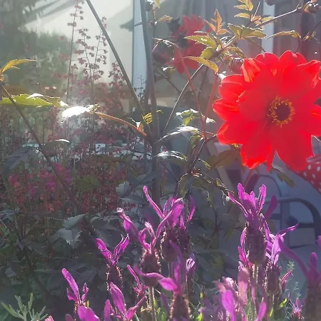 Newtown بيت للعطل Kilmihil