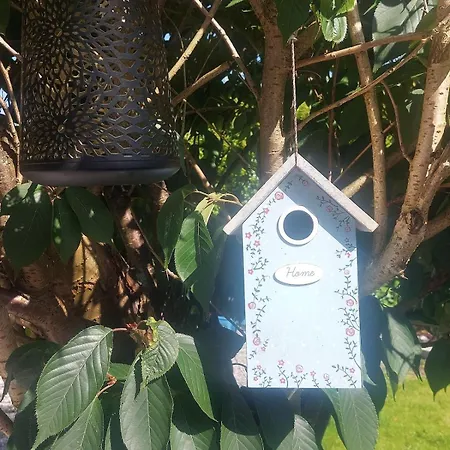 بيت للعطل Newtown Kilmihil