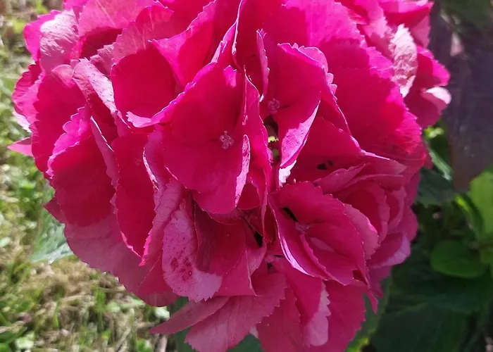 Hébergement de vacances Newtown *