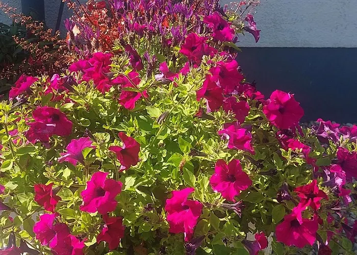 Newtown Hébergement de vacances