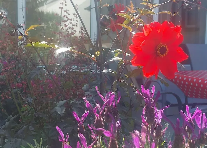 Newtown Hébergement de vacances Kilmihil